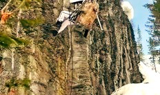 开云体育下载-关于印度选手在射击比赛中大放异彩，夺冠的信息