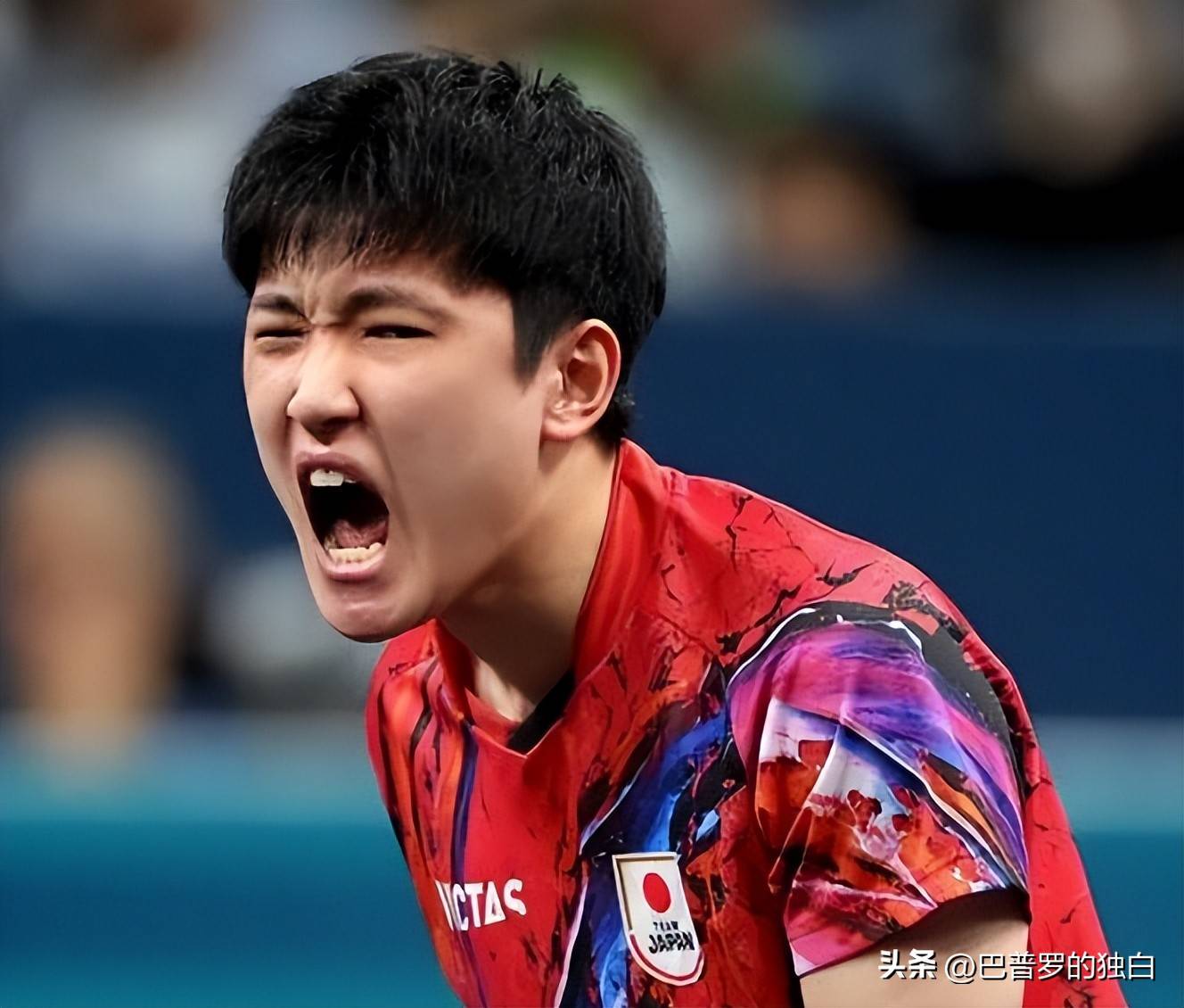 包含韩国队绝杀葡萄牙队，张本智和关键制胜的词条