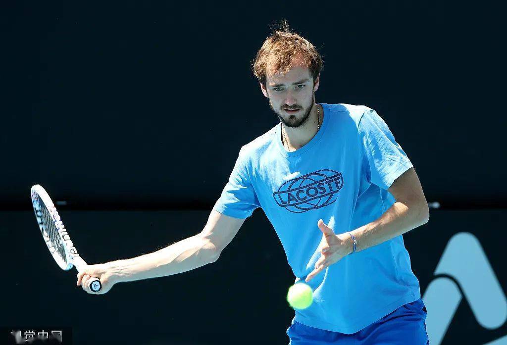 联合杯险胜法网，梅德韦杰夫关键制胜的简单介绍