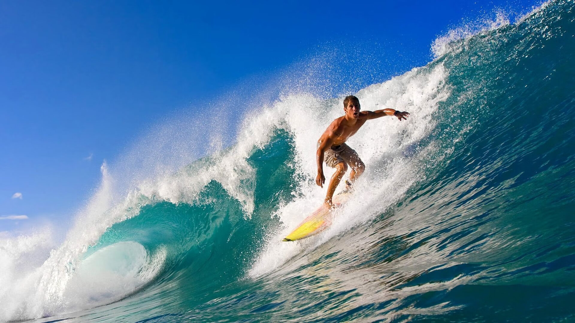 德甲争冠战之夜，哈利伯顿主宰比赛走向