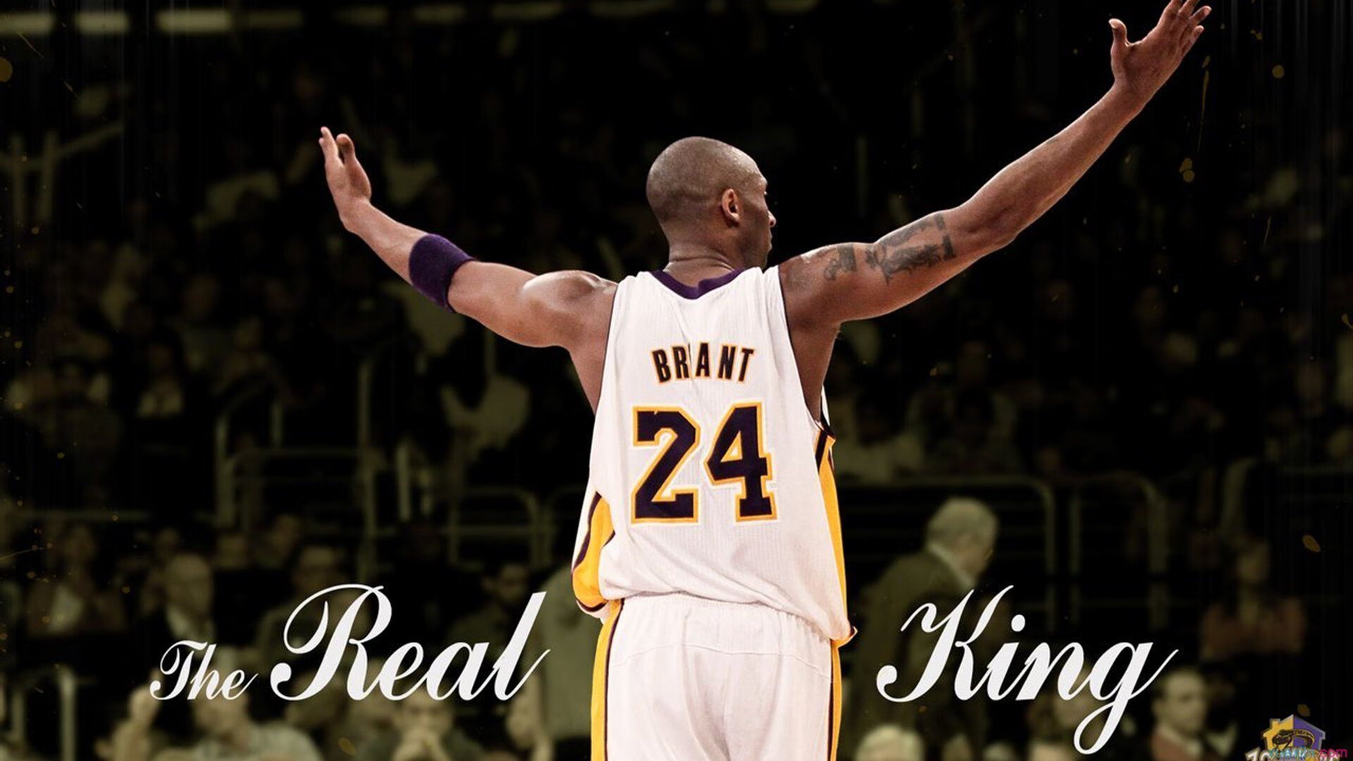 2026世界杯之夜，当库里数据全面爆炸，篮球与足球的传奇交汇