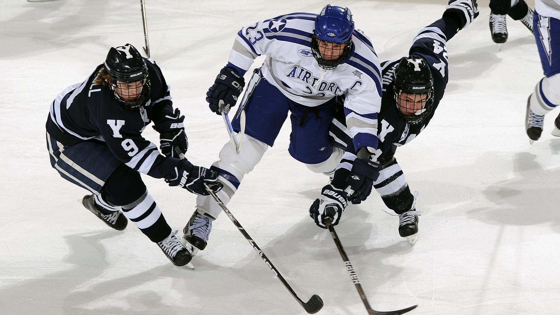 鹈鹕横扫广州队，霍勒迪高光表现引爆全场